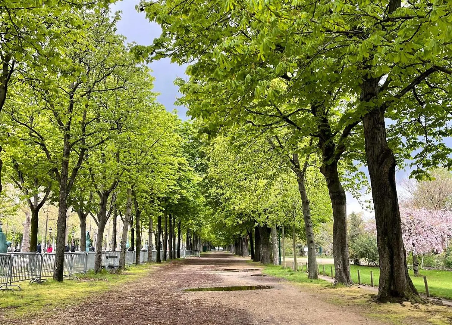 Avenue Montaigne Bienvenue