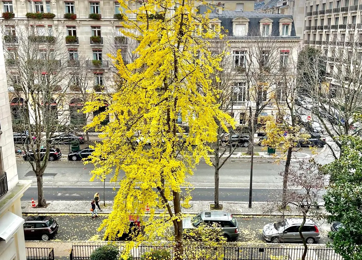 Avenue Montaigne Bienvenue